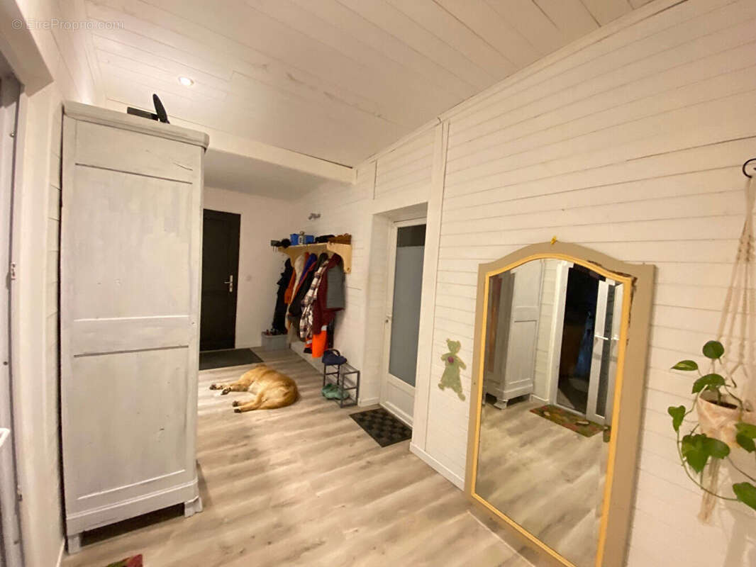 Appartement à AMBON