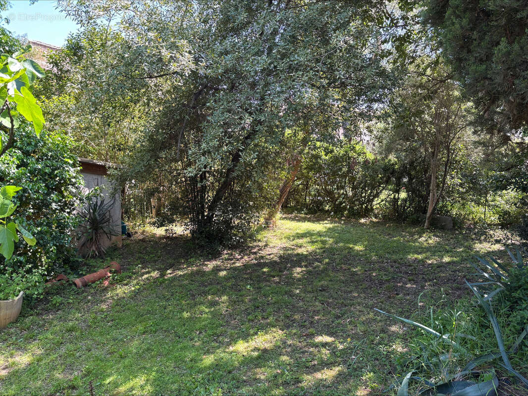 Maison à MONTPELLIER