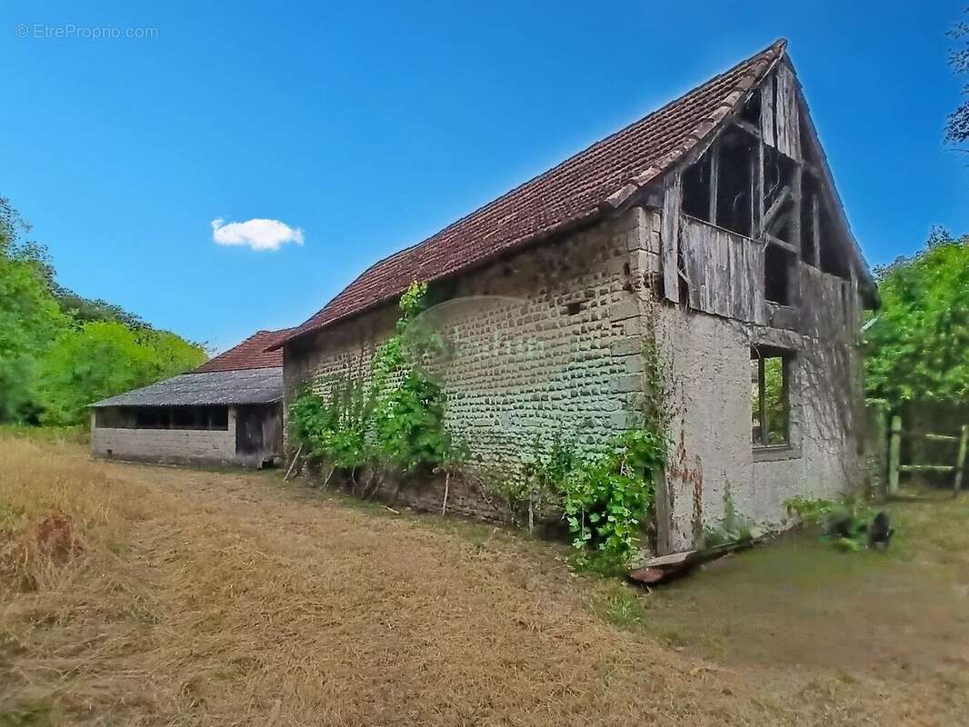 Ferme béarnaise authentique - photo 9