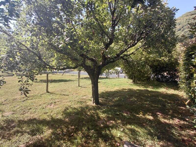 Maison au bord du lot  Accès rivière - photo 20