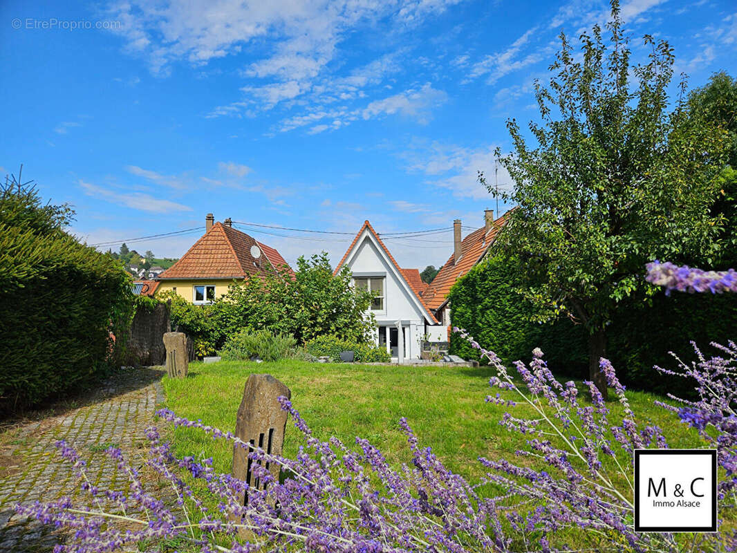 Maison à WISSEMBOURG