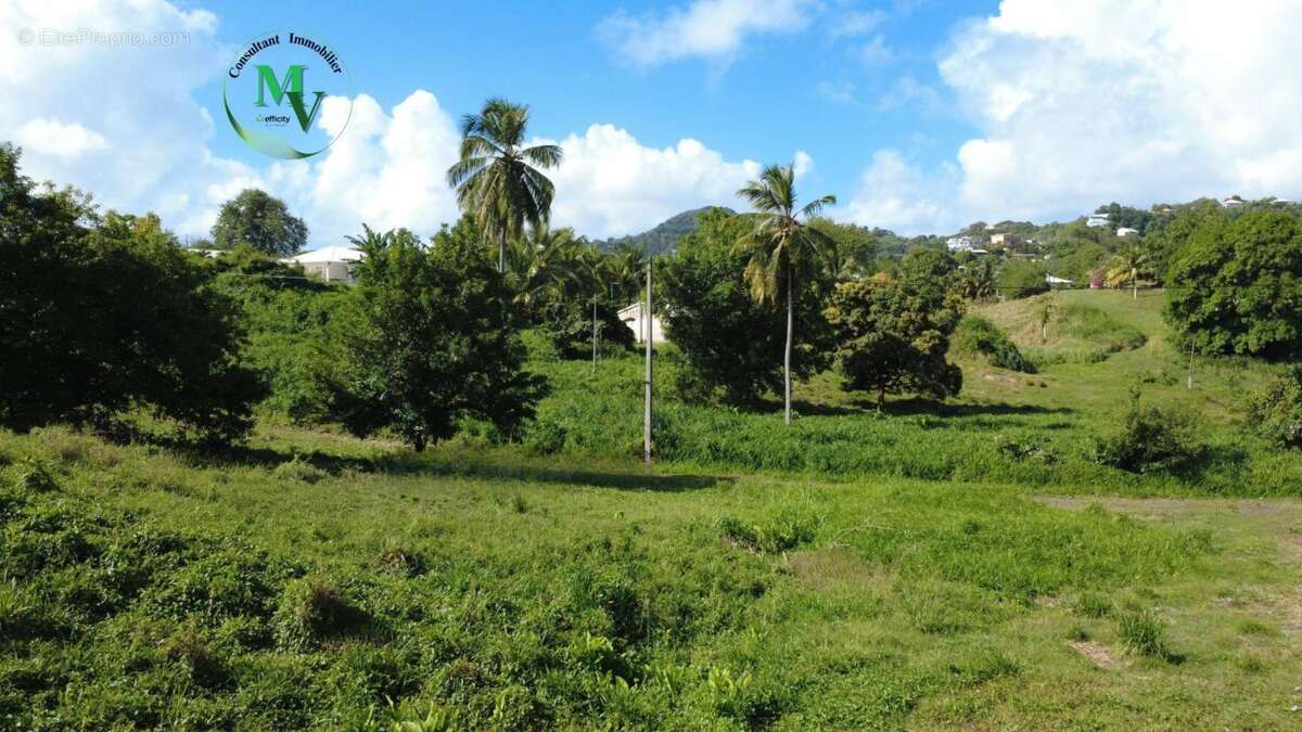 Terrain à LE VAUCLIN