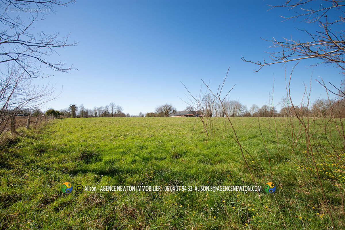 SOUS COMPROMIS - LA MANCHE, Les Loges-Marchis, maison de campagne , 23651m2 de terrain, 3 chambres. - photo 3
