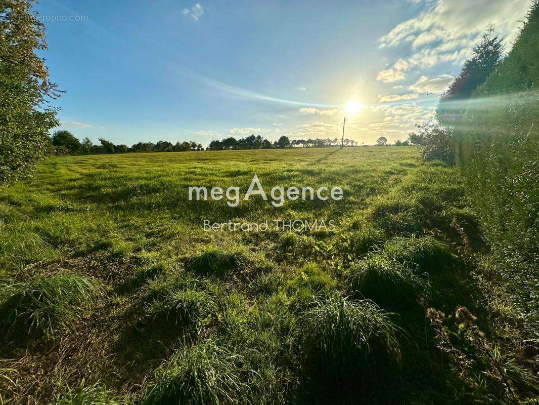 Maison à SAINT-SAUVEUR-DES-LANDES