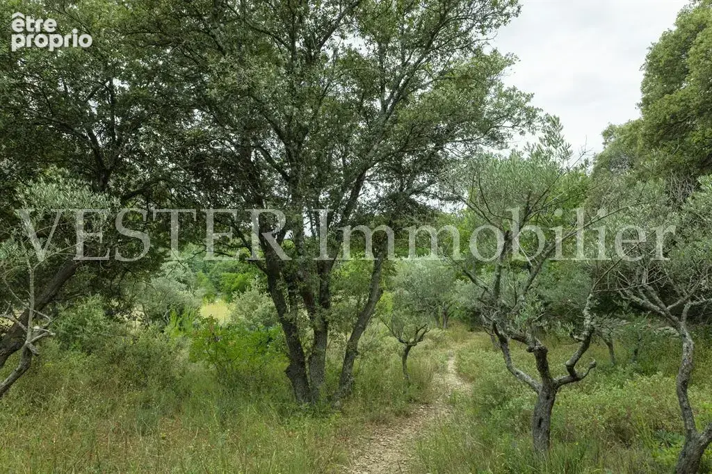 Saumane-de-vaucluse – propriété au cœur d’un environnement préservé - photo 11