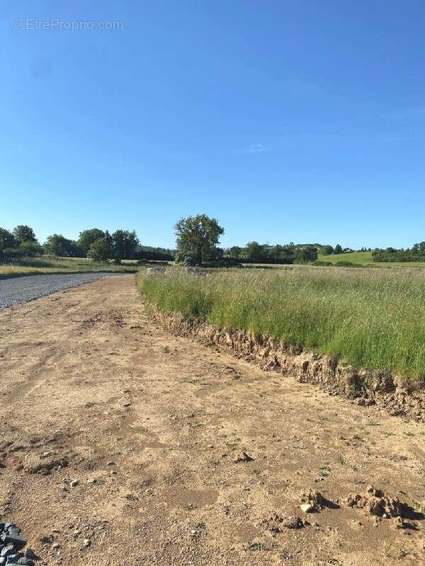 Terrain à SAINT-JULIEN-DU-PUY
