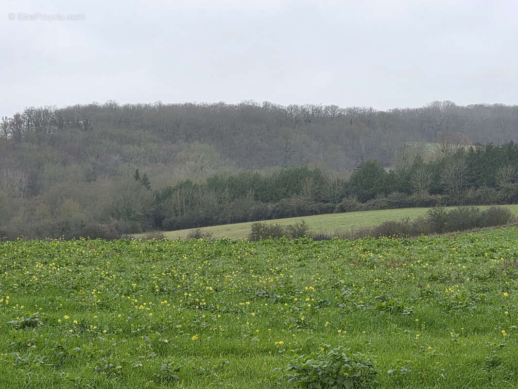 Terrain à DAMMARTIN-EN-SERVE