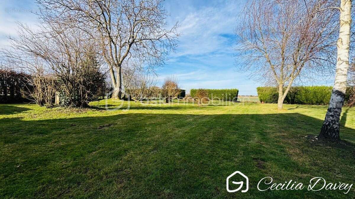 Maison à VILLENEUVE-SUR-YONNE