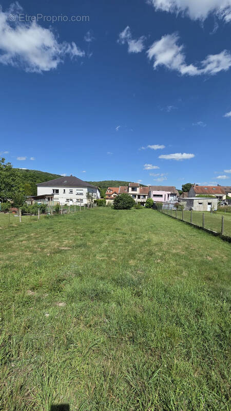 Maison à LONGEVILLE-LES-SAINT-AVOLD