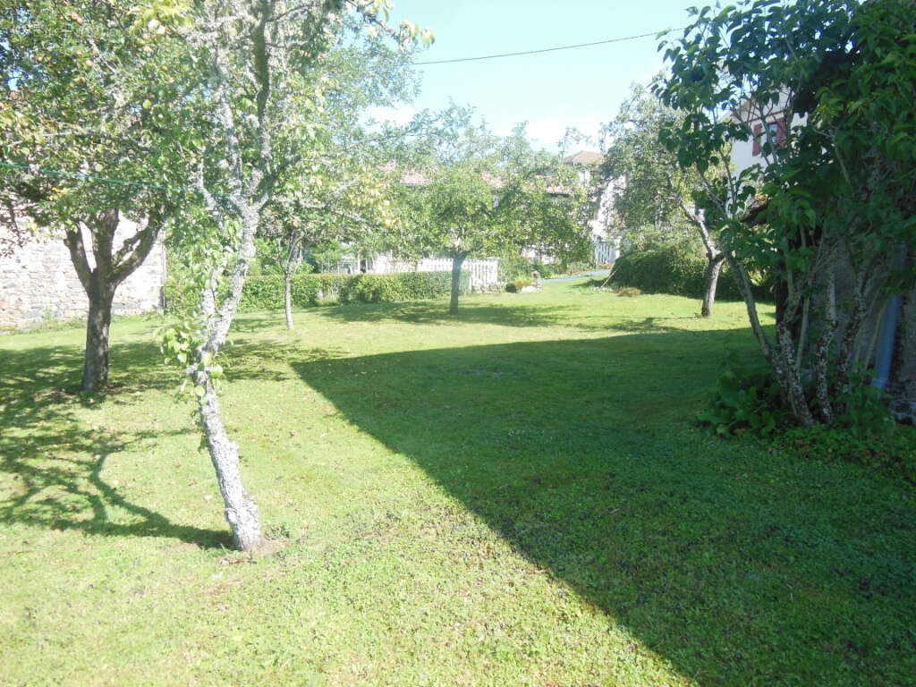 Maison à POULE-LES-ECHARMEAUX