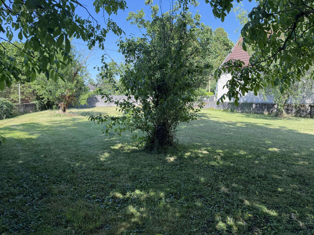 Maison à BEAUNE