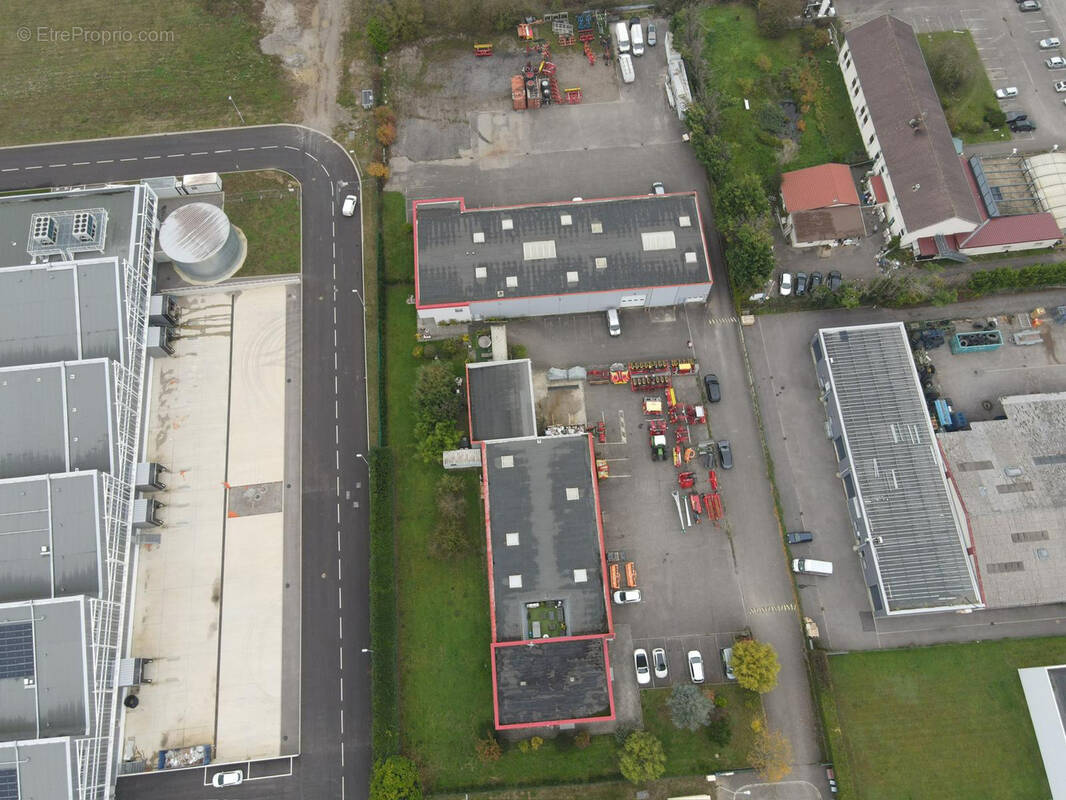 Commerce à WITTENHEIM