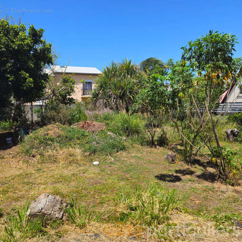 Terrain à SAINT-PIERRE
