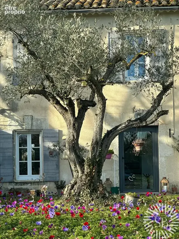 Maison à MOLLEGES