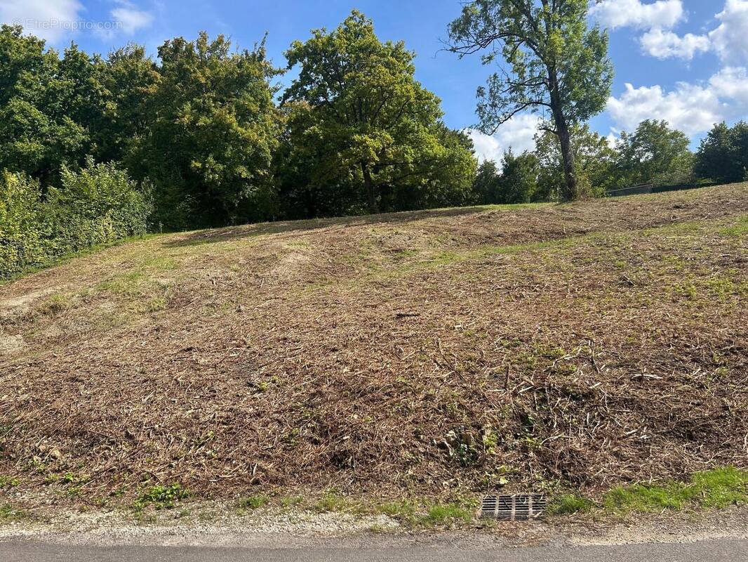 Photo 1 - Terrain à CLEREY