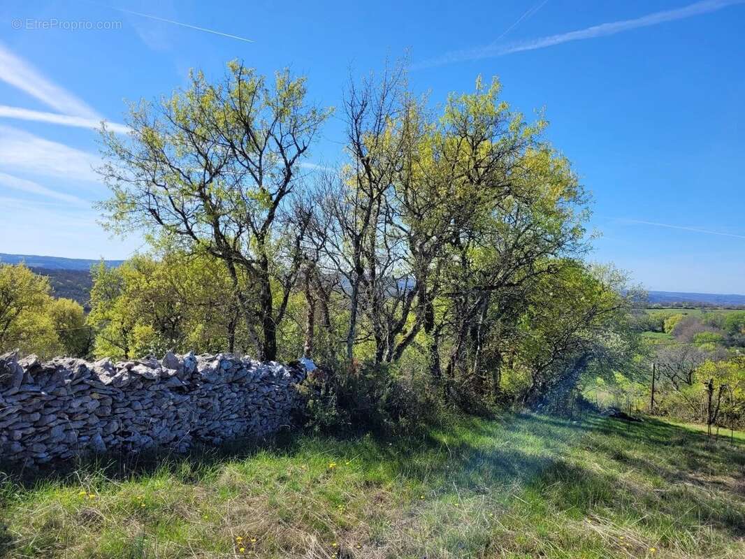 Terrain à CABRERETS