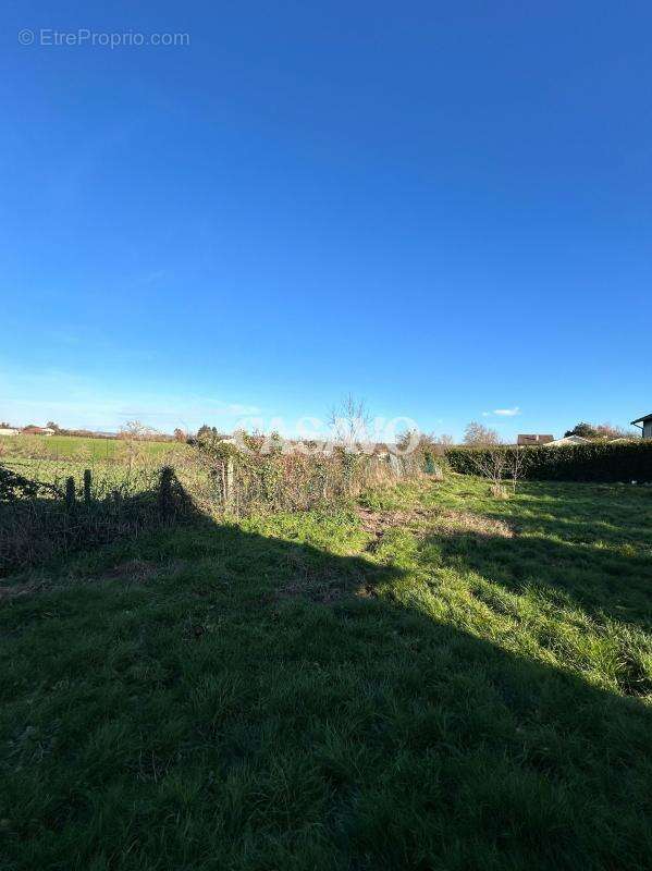 Terrain à EYZIN-PINET