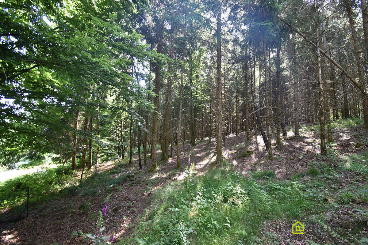 Terrain à ANOULD