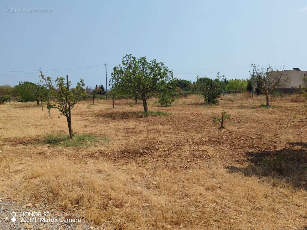 Villa T4 en Plein pied de 152m2 habitable sur un terrain de 2705m2, garage Narbonne 11100 - photo 21