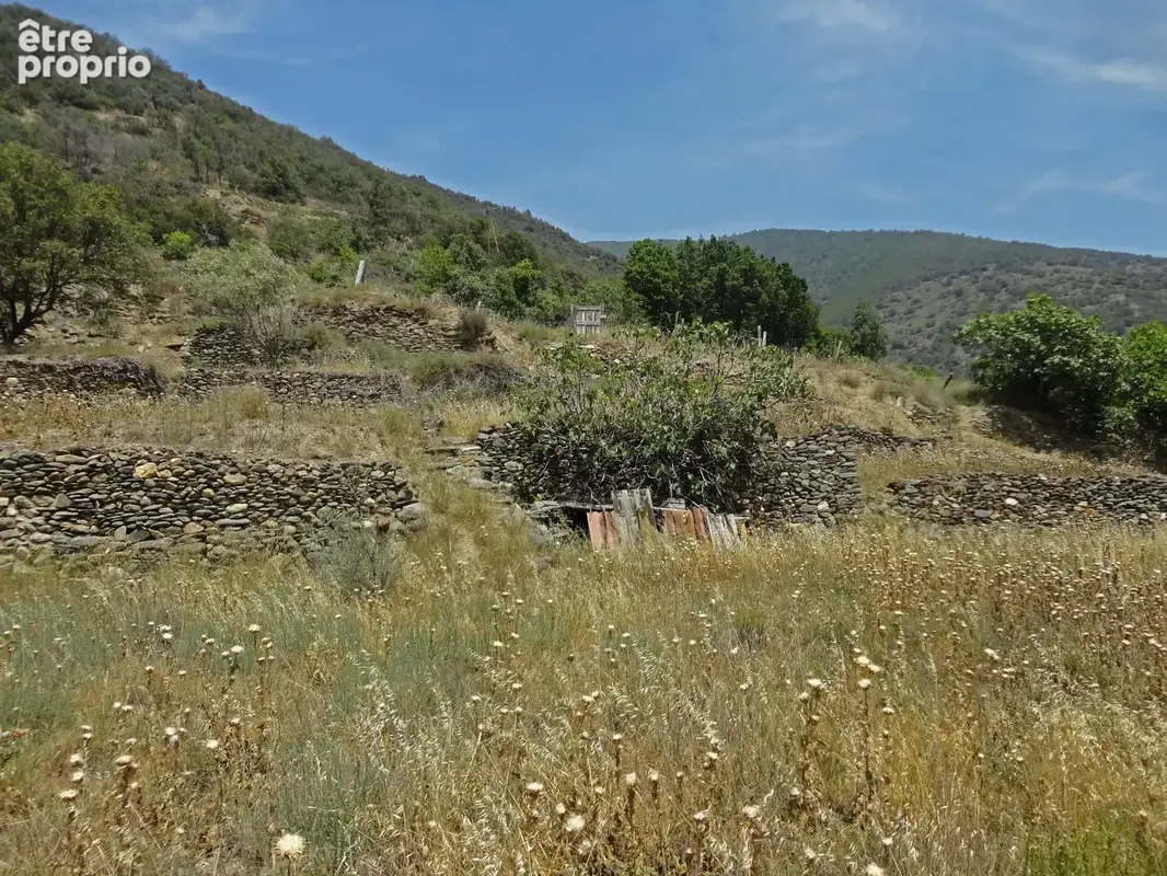 Dpt Pyrénées Orientales (66), à vendre OLETTE Maison P4 en pierres de 84 m² - terrain 809 m² - photo 9