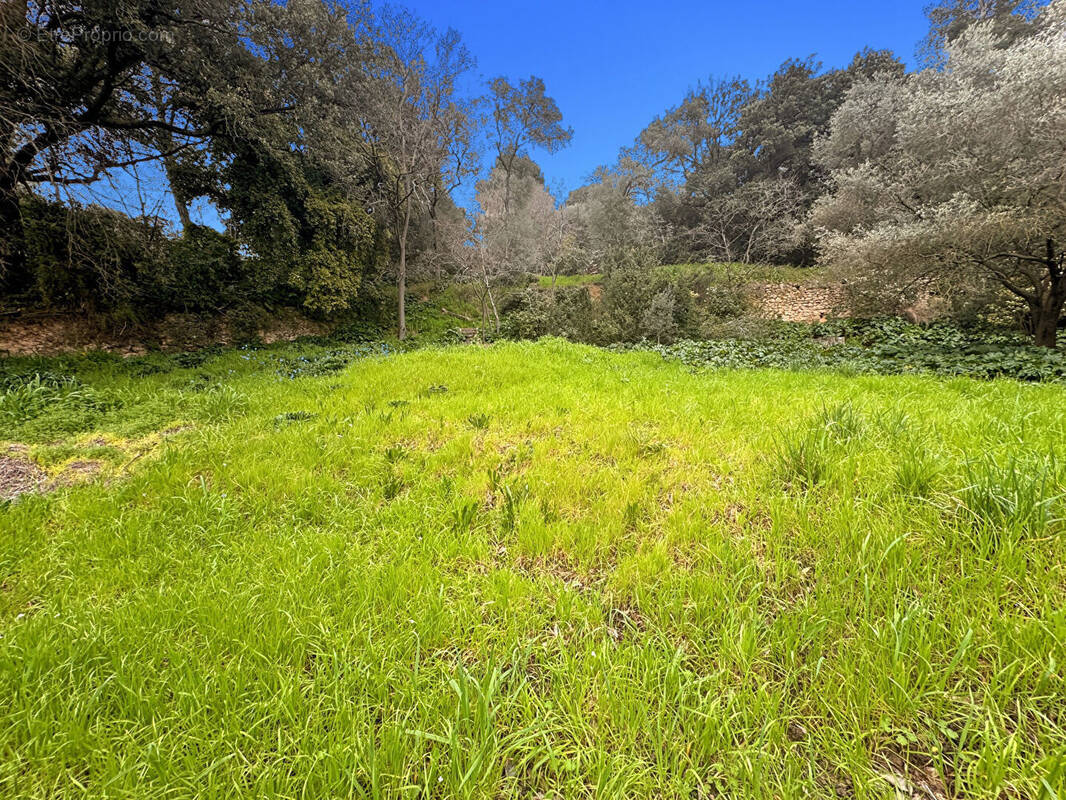 Terrain à MARSEILLE-13E