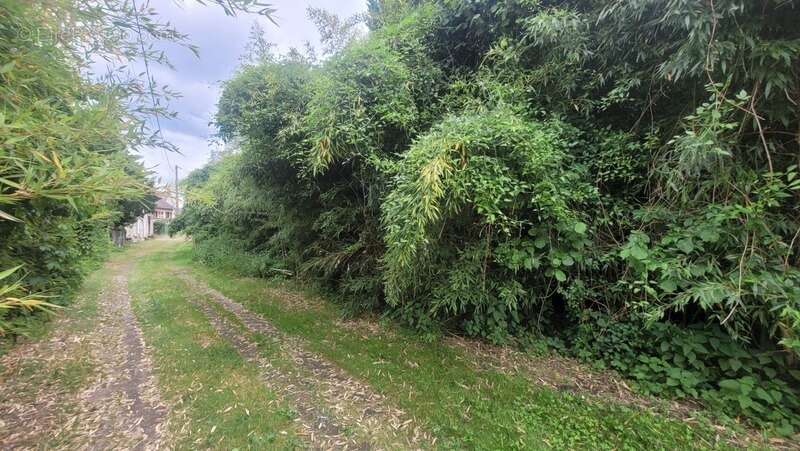 Terrain à PORT-DE-PILES