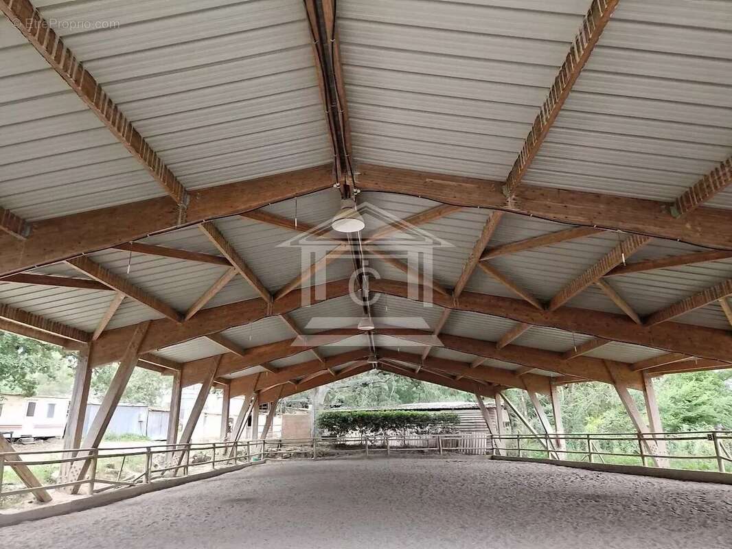 Commerce à MONTAUROUX