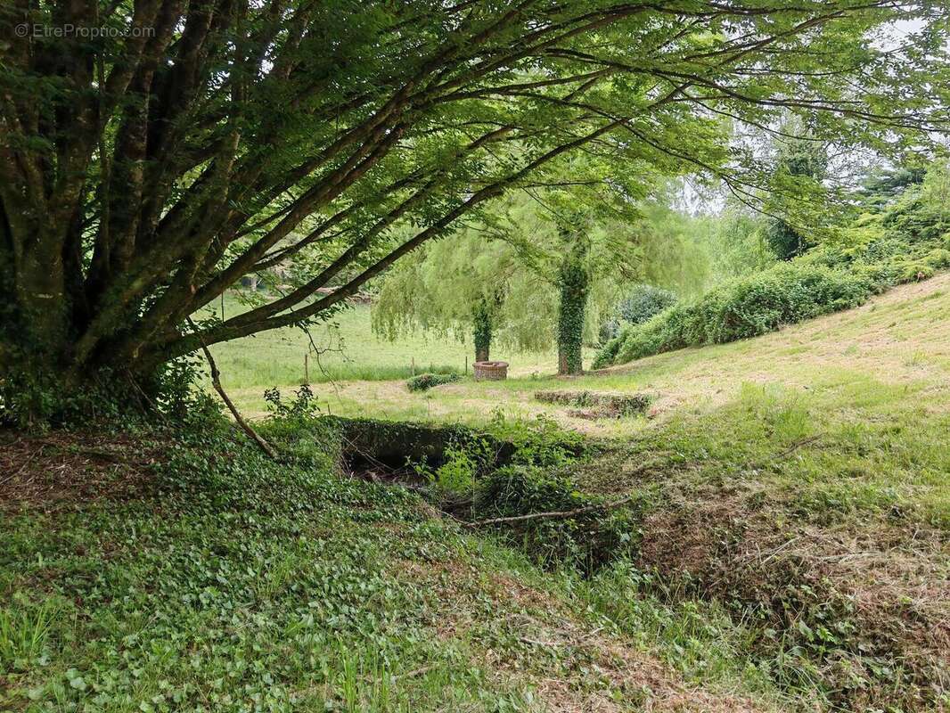 IMG20250507162604 - Maison à PIEGUT-PLUVIERS