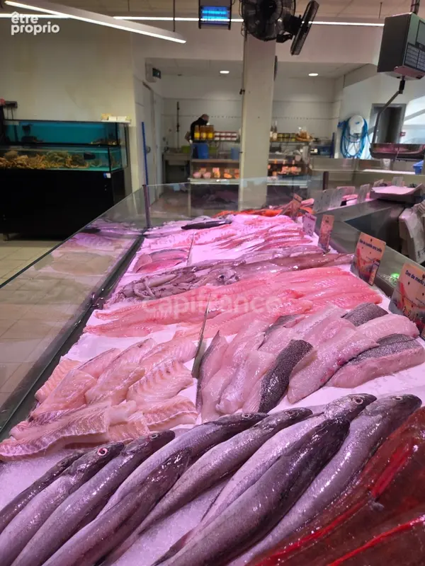 Poissonnerie à vendre QUIMPER (29) - photo 5