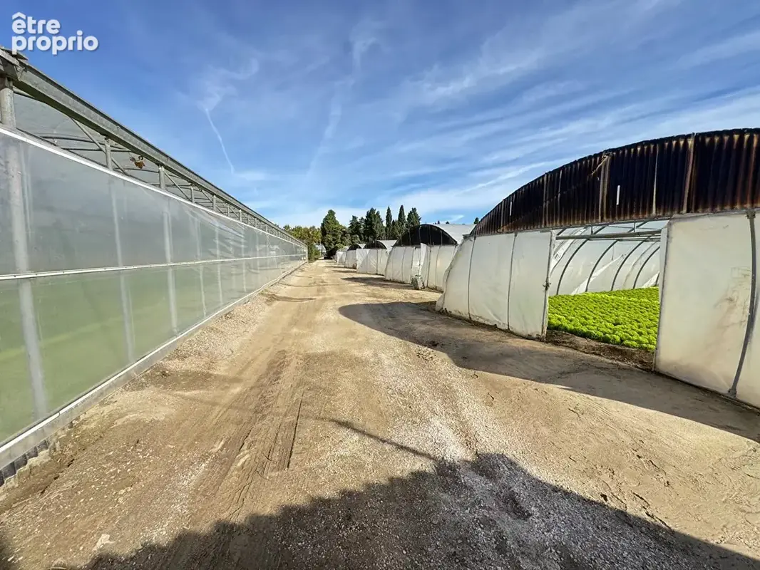 Domaine agricole Villelongue de la Salanque 13 600 m2 - photo 3