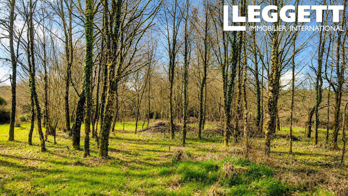 Beau terrain avec une grange en ruine avec CU - photo 6