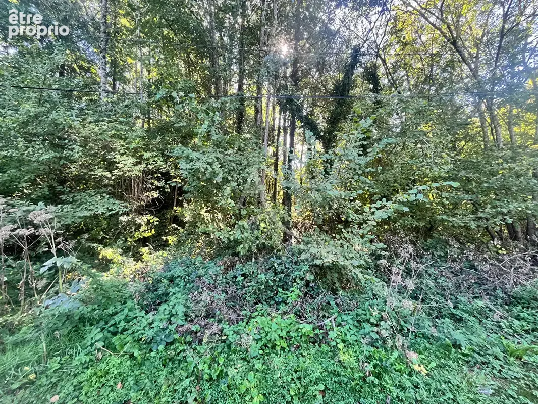 Saint martin de brethencourt - terrain a batir - photo 3