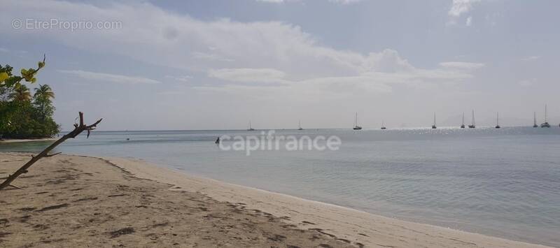 Appartement à SAINTE-ANNE