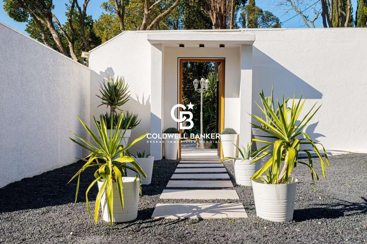 Maison à MONTPELLIER