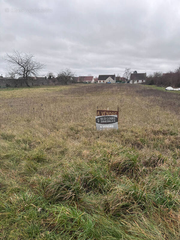 Terrain à MONTLIVAULT