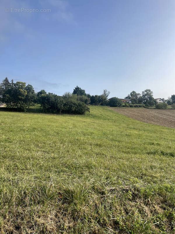 Terrain 2680 m² à Aurignac  - photo 4