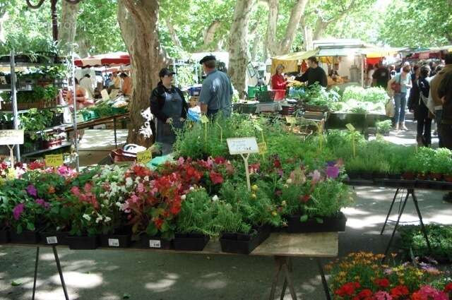 Maison à SAINT-CHINIAN