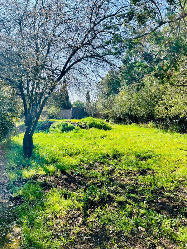 Maison à MONTPELLIER