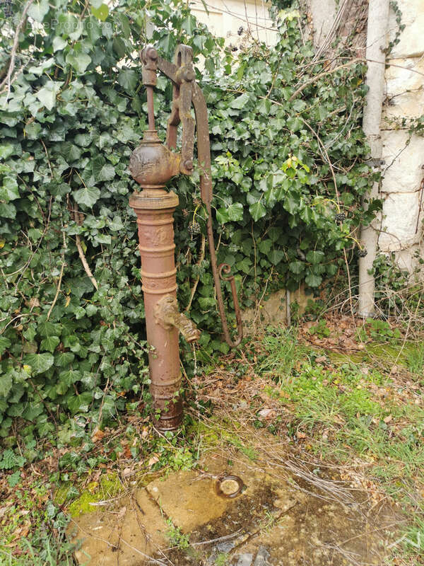 Maison en Pierre, Fort potentiel +300 m2 cave, garage, à restaurer entièrement - photo 4