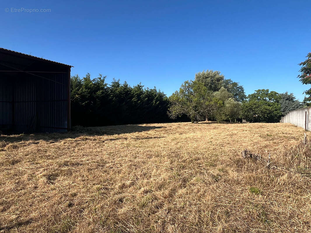 Terrain à SAINT-GERMAIN-SUR-MOINE