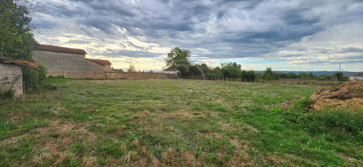 Terrain à SARDIEU
