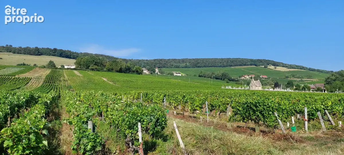 Le Domaine de la Griseaude - LOT 05 - photo 4