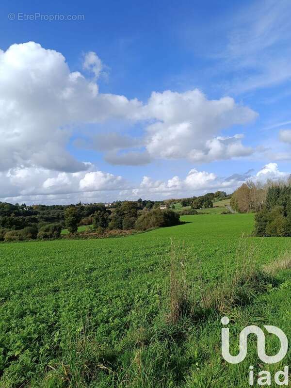 Photo 9 - Maison à SAINT-CONNAN