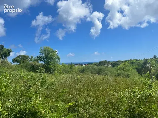 Terrain constructible de 1 220 m2 avec aperçu mer   Saint-François, secteur Bellevue - photo 2