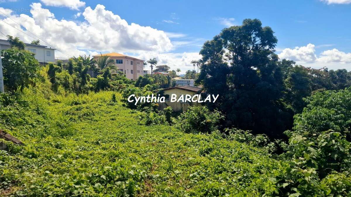 Terrain à FORT-DE-FRANCE