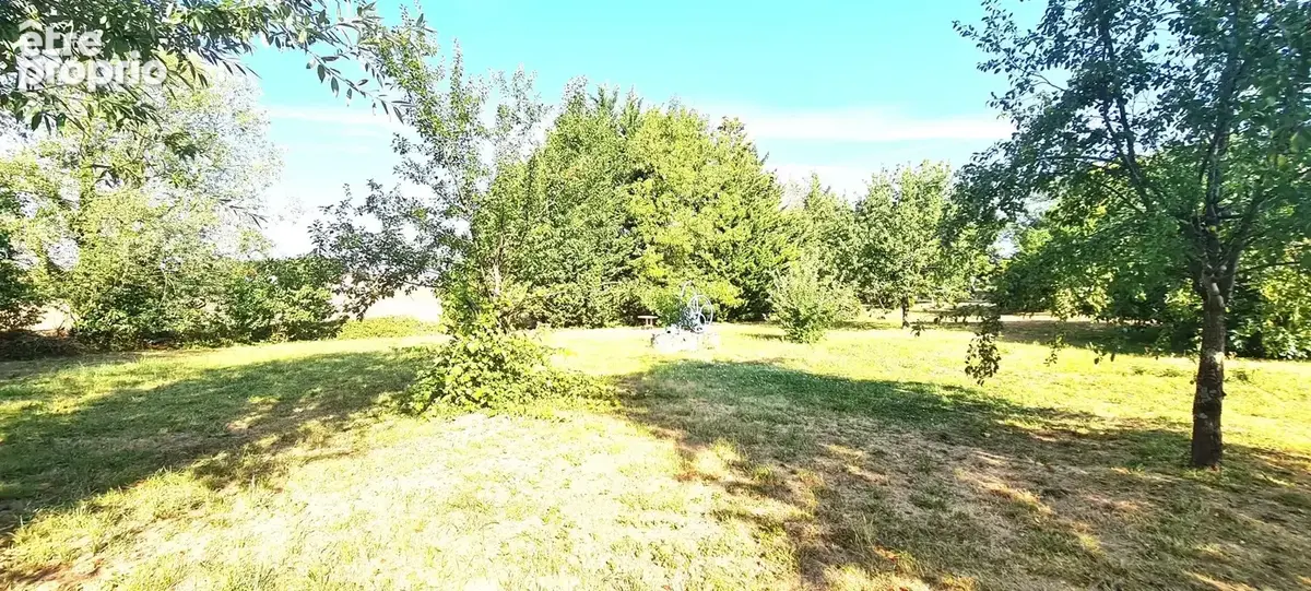 Maison plain-pied et grand jardin arboré - photo 19