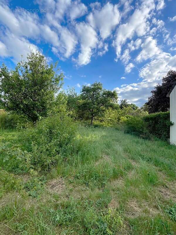 Photo 4 - Terrain à CHAMPIGNY