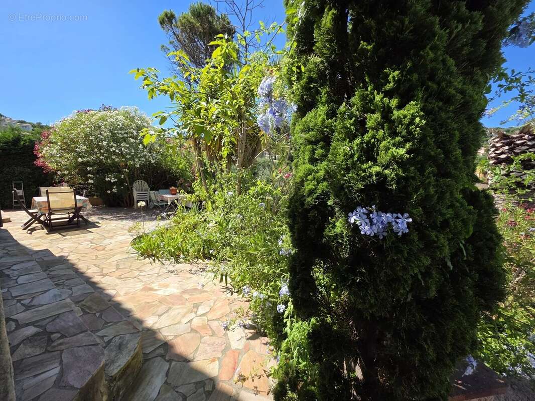 Villa individuelle avec piscine 112m²- 816m² - Les Issambres - photo 11