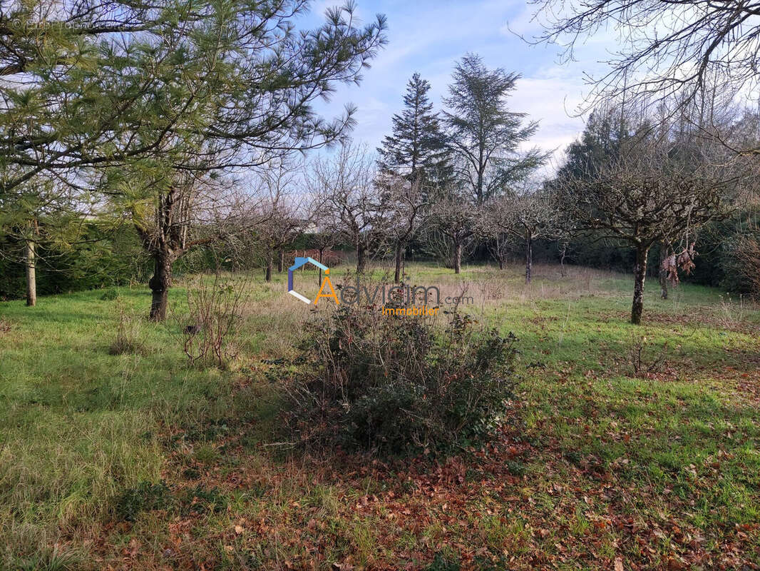 Maison à VERTEUIL-SUR-CHARENTE