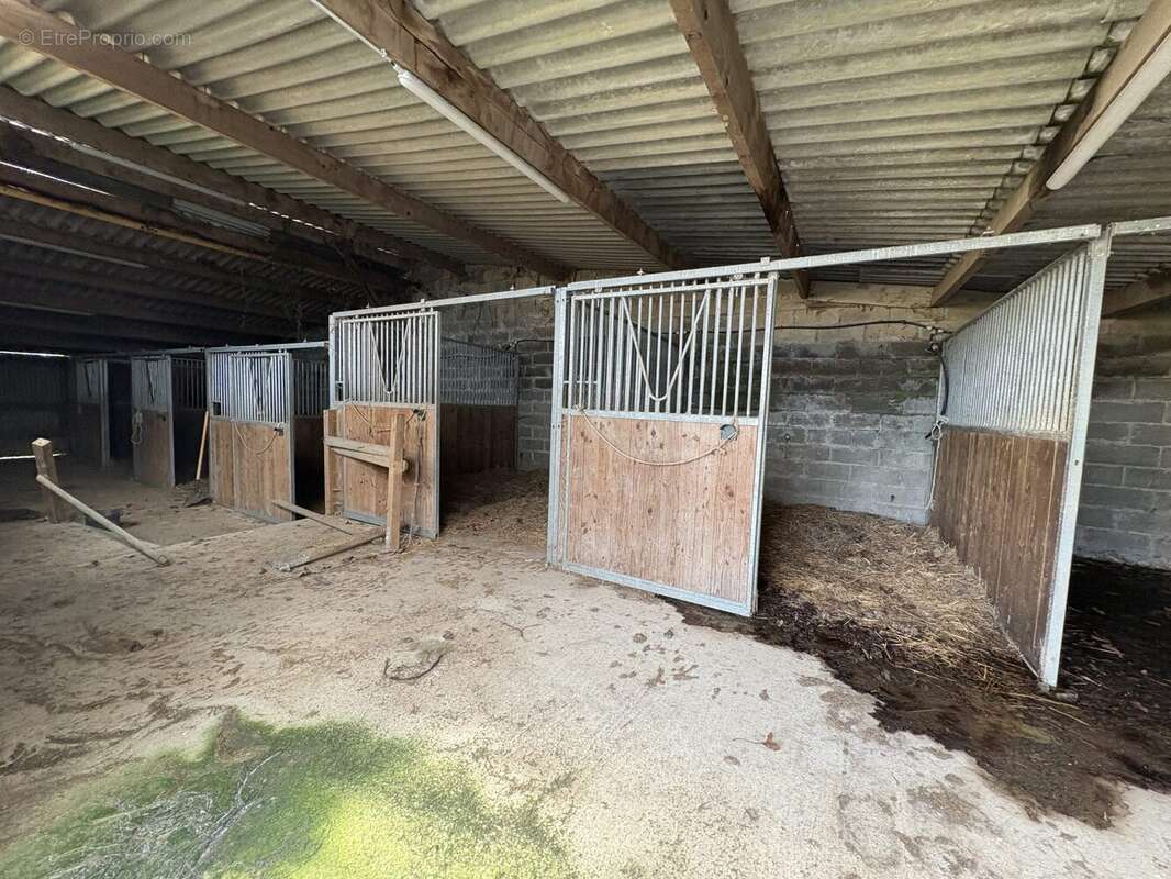 Maison à SAINT-JEAN-DE-LA-HAIZE